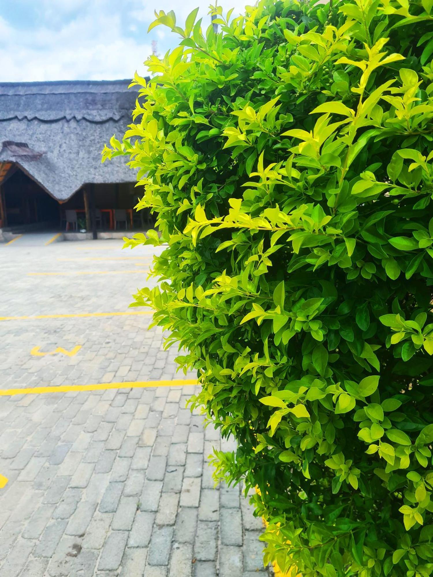 Nata Maya Bnb المظهر الخارجي الصورة